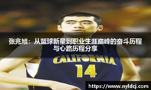 张兆旭：从篮球新星到职业生涯巅峰的奋斗历程与心路历程分享